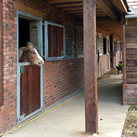 Stable Walls
