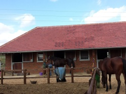 Large Multiple Stables