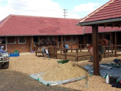 Stables During the Build