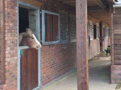 Stables & Outbuildings